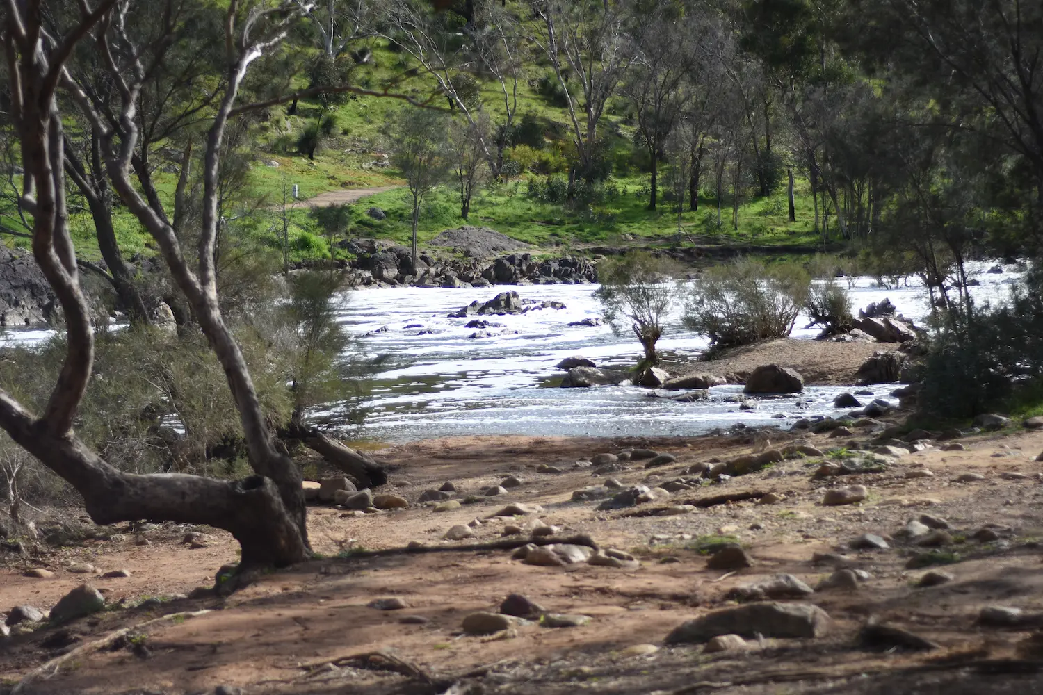 Bells Rapids River Walk, Swan Valley