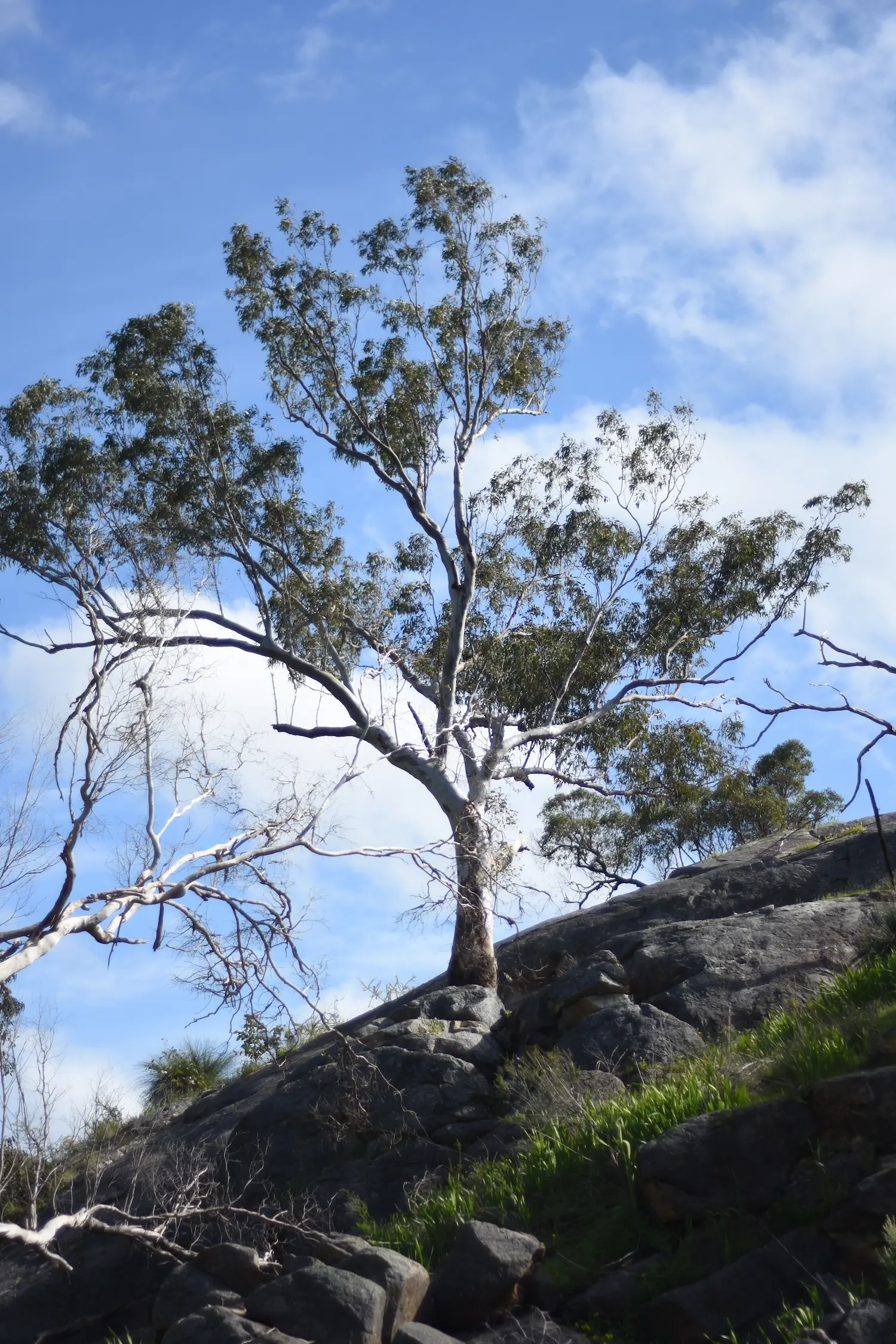 Bells Rapids River Walk, Swan Valley