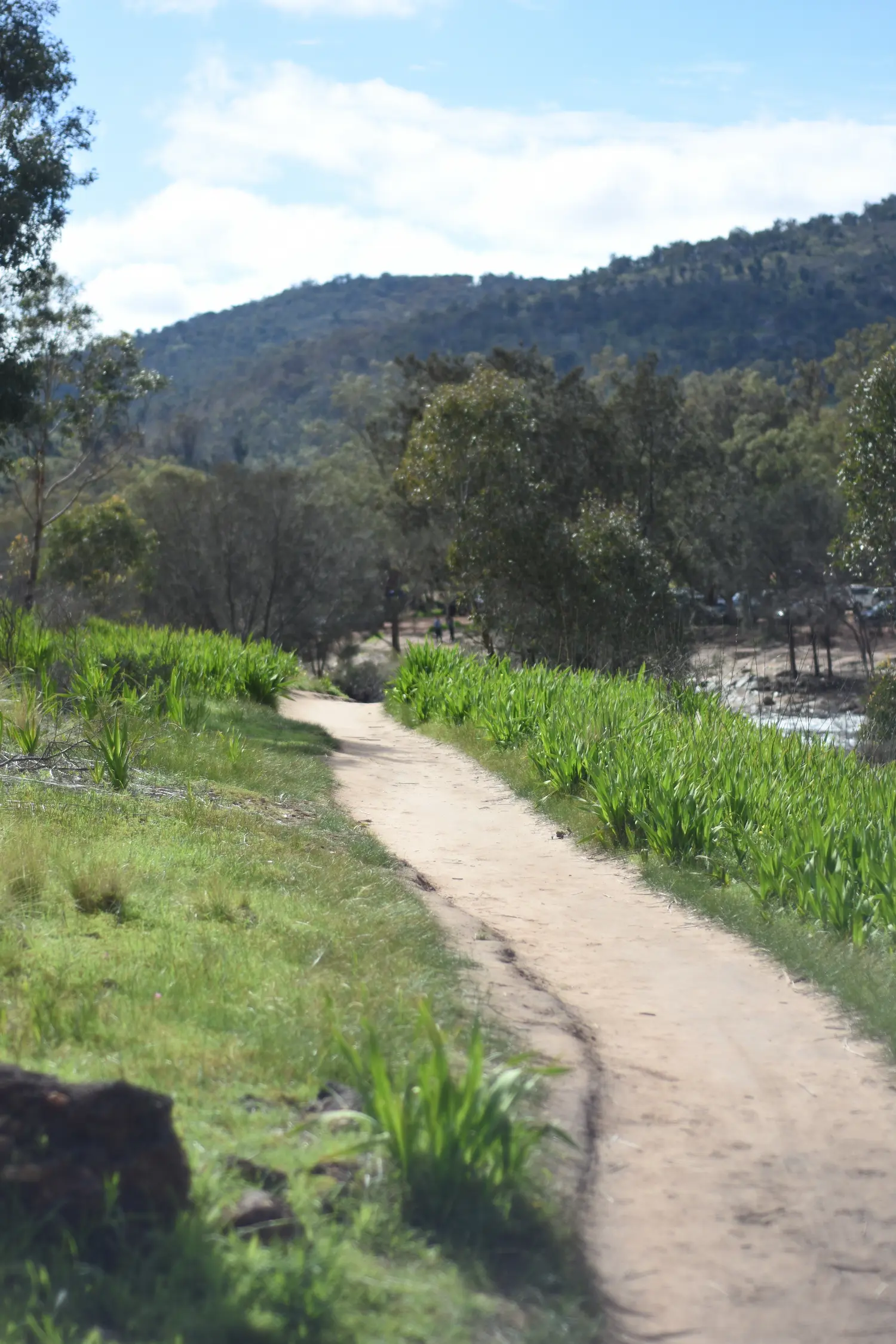 Bells Rapids River Walk, Swan Valley